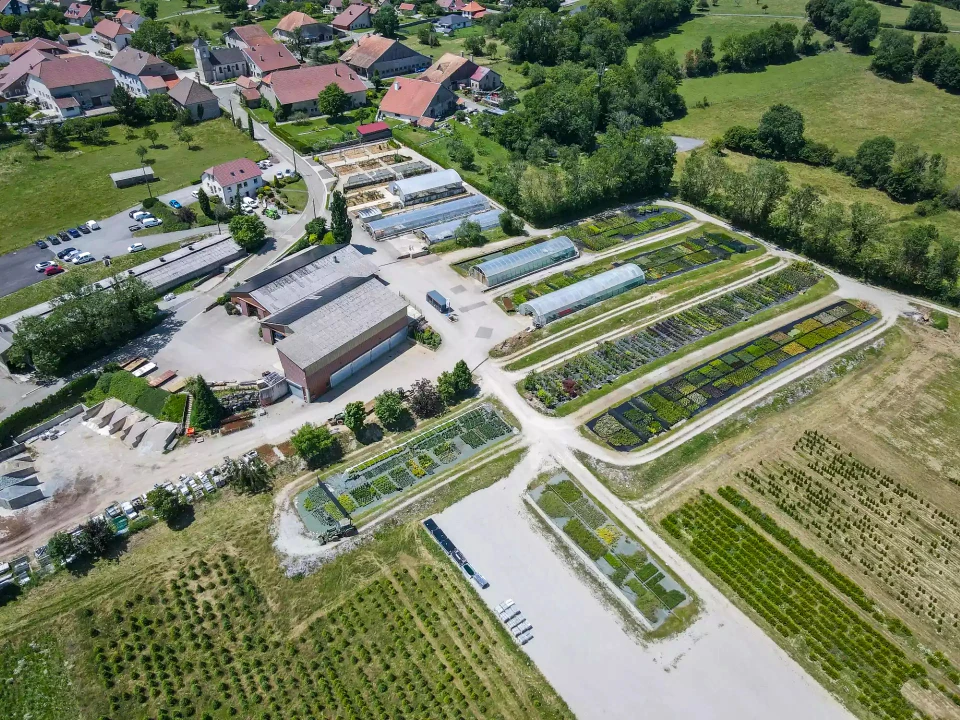 Paysage viticole vallonné avec vignobles en terrasses s'étendant sur les collines. Routes serpentant entre les parcelles de vignes. Forêt dense couvrant les sommets. Ciel bleu dégagé, lumière naturelle diurne.