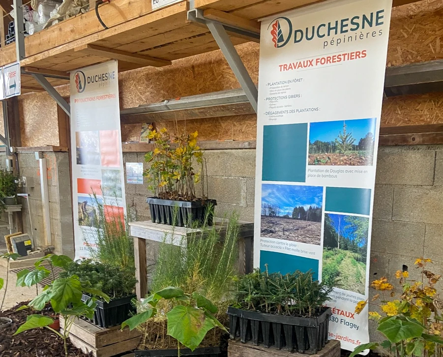 Famille de quatre personnes réunie dans un jardin ensoleillé pour une activité de cueillette de fruits. Parents et deux enfants assis sur l'herbe près d'arbres fruitiers, partageant un moment convivial autour d'une caisse de pommes fraîchement récoltées.