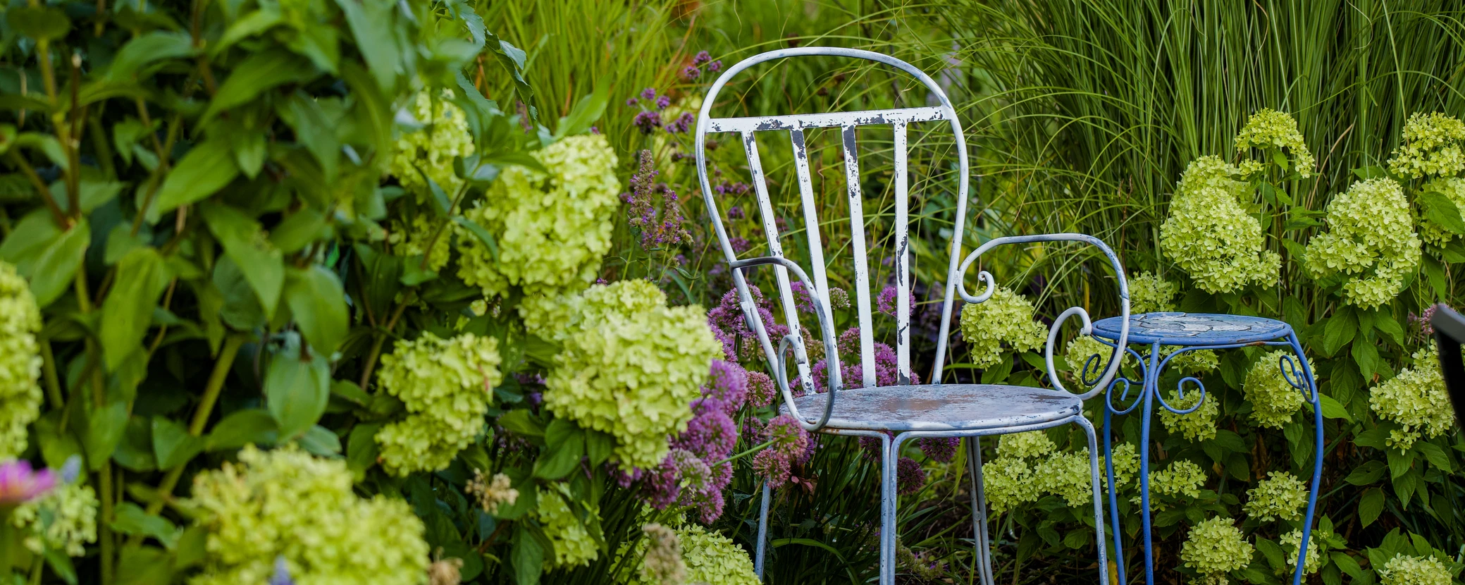 Arbustes Et Fleurs Dans Une Frontière Entourée D'Une Clôture En Bois Et D'Une Pelouse En Herbe Dans Un Jardin Arrière.