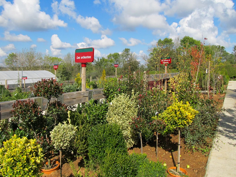 Pépinière extérieure avec variété de plantes ornementales en contenants noirs disposés sur surface bétonnée. Graminées ornementales aux feuillages dorés et verts, arbustes à feuillage coloré automnal.