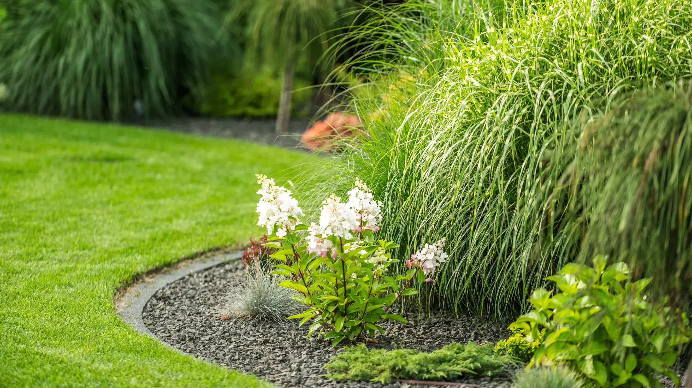 Jardin paysager luxuriant avec plantes fleuries et colorées