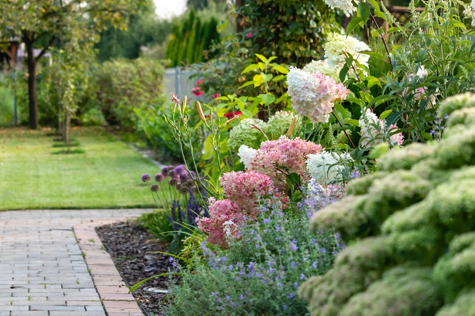 Scène extérieure de marché local avec vendeuse souriante en veste denim vendant légumes frais à un client