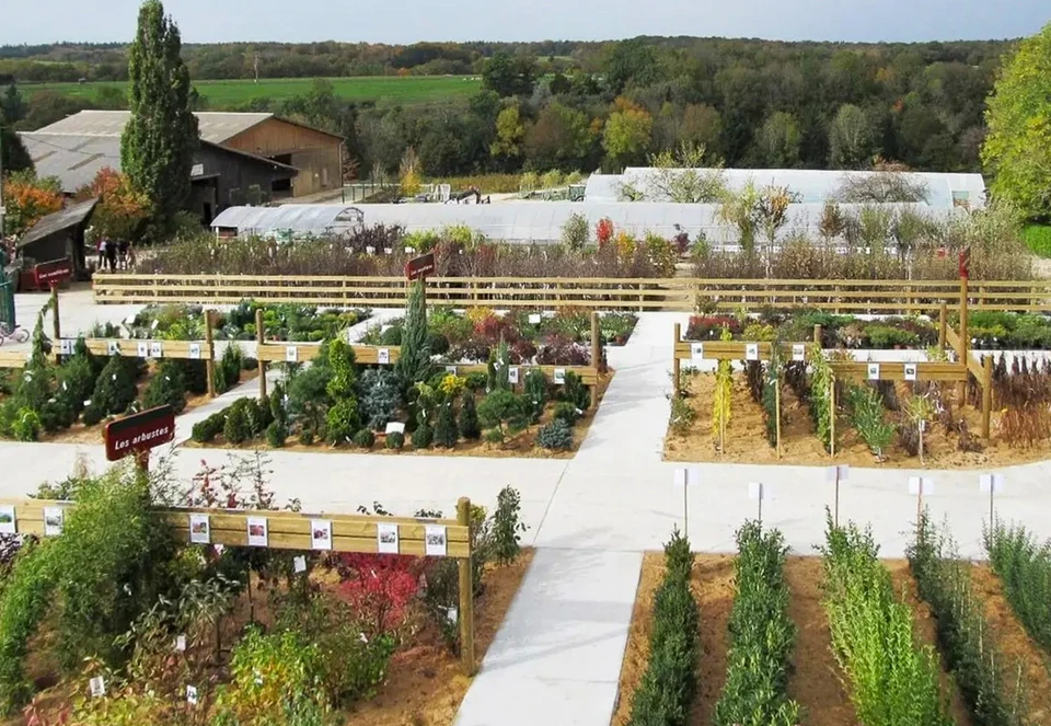 Une rangée de vignes avec des bourgeons florissants sur des treillis dans une plantation de vignes françaises au pied de la montagne en Savoie pendant la période de printemps avec des alpes panoramiques