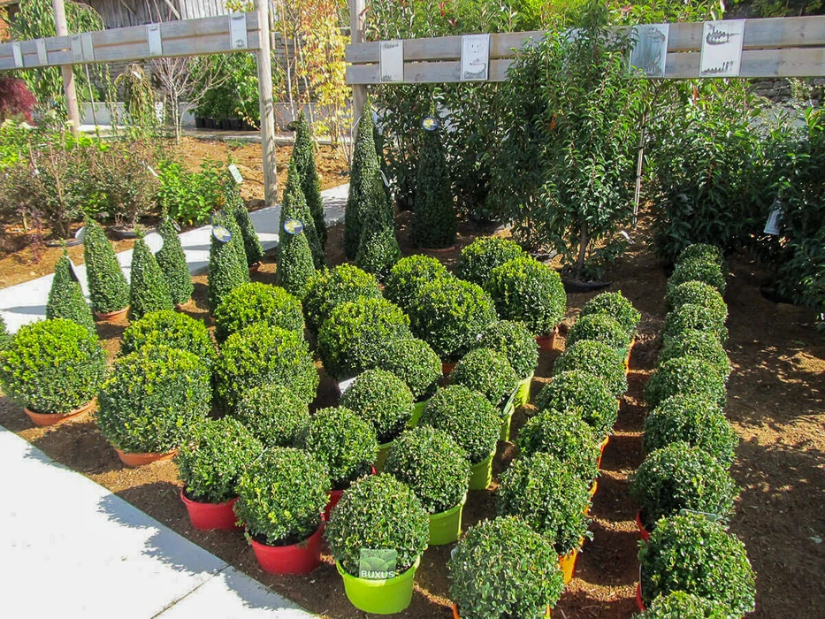 Espace d'exposition extérieur de pépinière avec signalétique éducative. Parcelles délimitées présentant différentes variétés végétales : arbustes, plantes de haie, arbres. Panneau d'information Duchesne Pépinières visible à l'entrée.