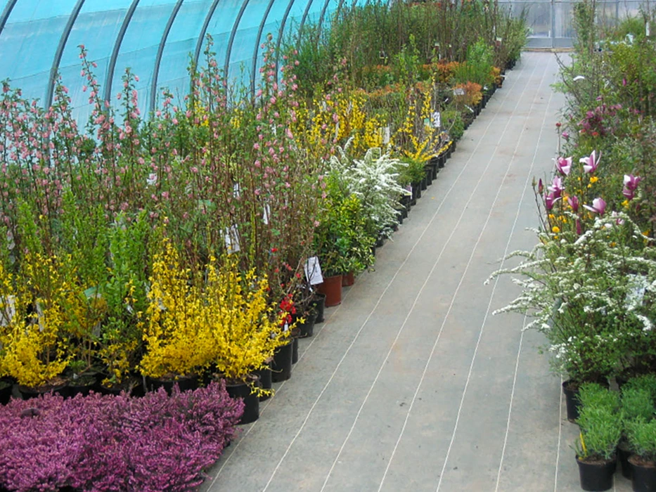 Jardin extérieur avec plantation d'arbustes et conifères en cours. Jeune arbre tuteuré avec support en bois et attaches colorées. Aménagement paysager avec paillis organique au sol.