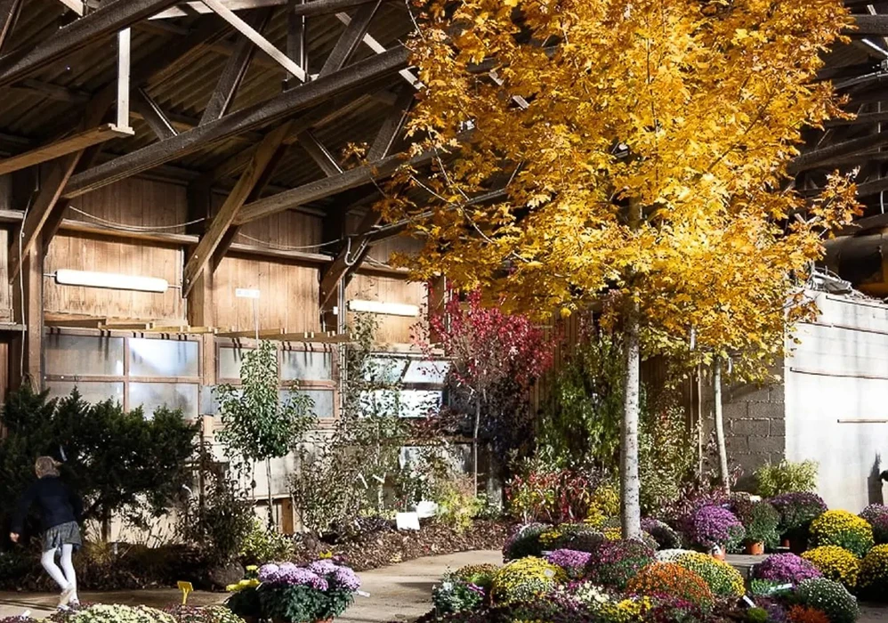 Espace d'exposition extérieur de pépinière avec signalétique éducative. Parcelles délimitées présentant différentes variétés végétales : arbustes, plantes de haie, arbres. Panneau d'information Duchesne Pépinières visible à l'entrée.