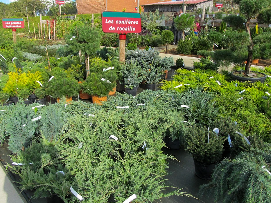 Espace d'exposition extérieur de pépinière avec signalétique éducative. Parcelles délimitées présentant différentes variétés végétales : arbustes, plantes de haie, arbres. Panneau d'information Duchesne Pépinières visible à l'entrée.