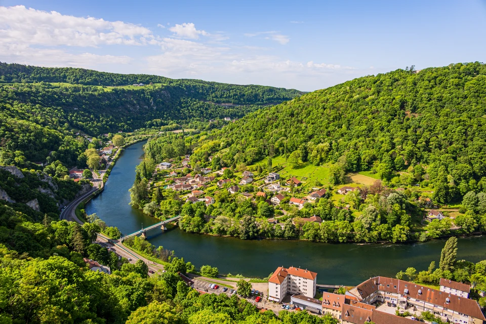 Champ agricole en plein air avec rangées de légumes verts cultivés en sillons parallèles. Cultures maraîchères diversifiées incluant plants de légumes-feuilles et légumineuses. Sol brun travaillé, allées de circulation entre rangs. Plantation en monoculture intensive, système racinaire développé. Végétation dense, feuillage vert luxuriant. Agriculture commerciale extensive sur terrain plat.