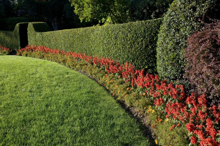 Entretien du jardin à Besançon : à quelle fréquence intervenir ?